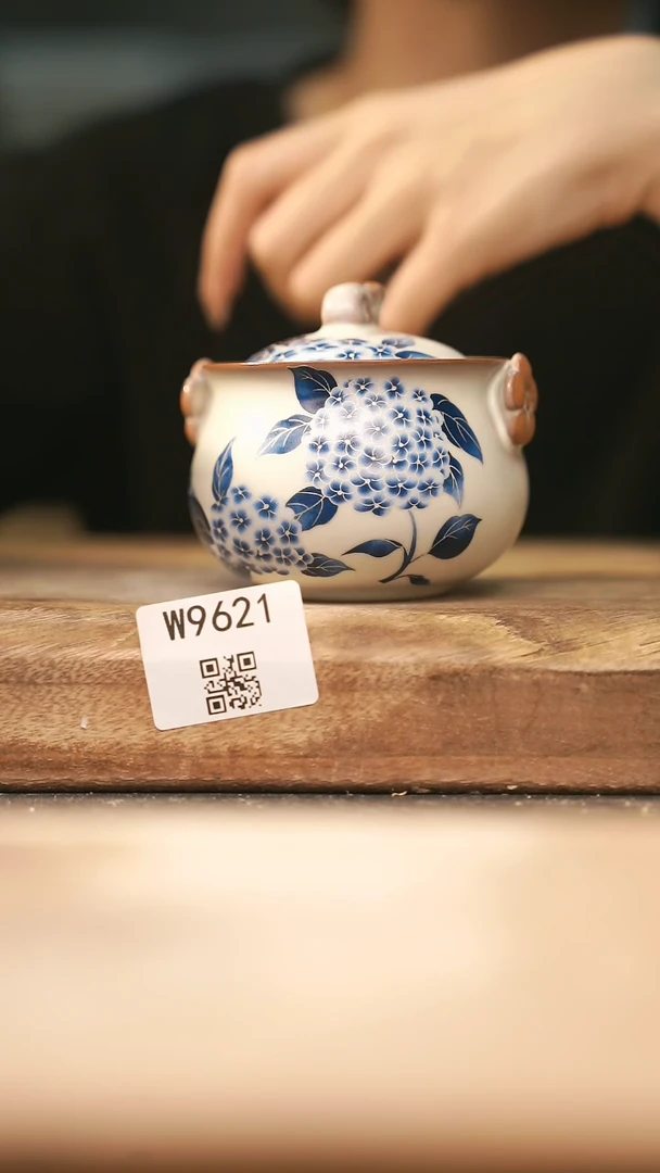 【经典福利】/ 宝瓶@@W9621