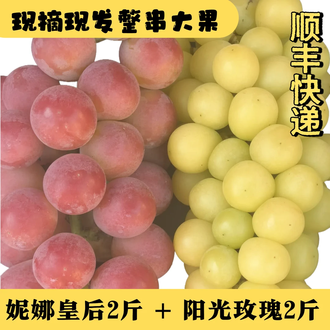 【葡萄礼盒】妮娜皇后+阳光玫瑰优质大果组合装顺丰包邮