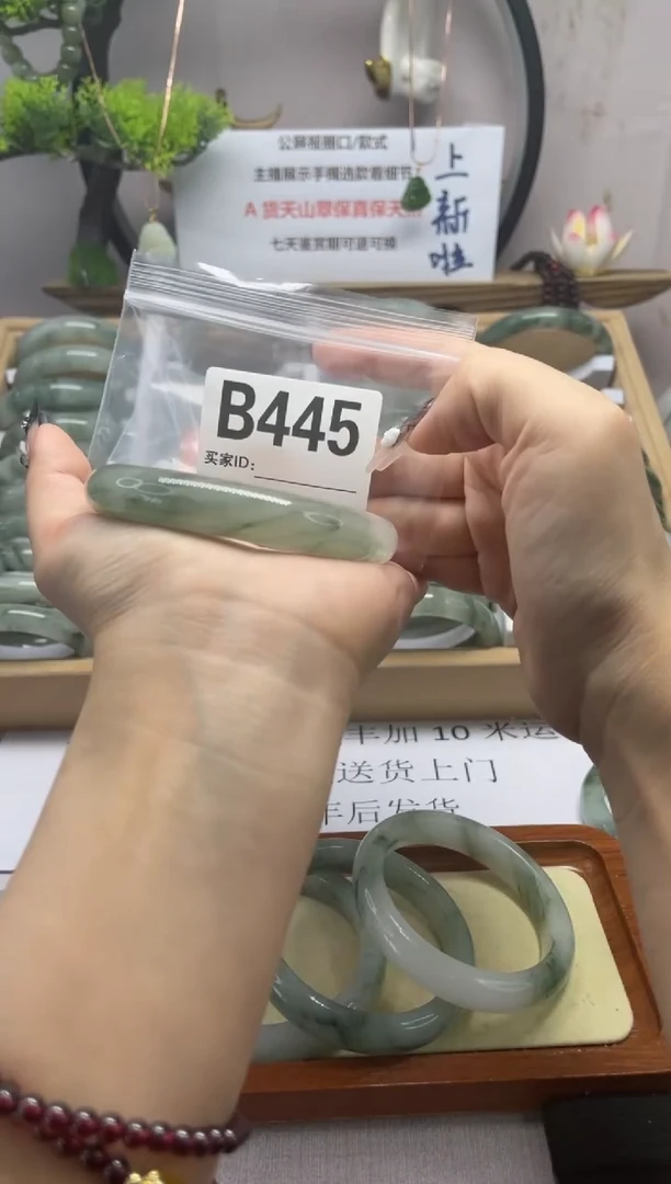 【闪购商品】石英质玉（天山翠）手镯未镶嵌b445