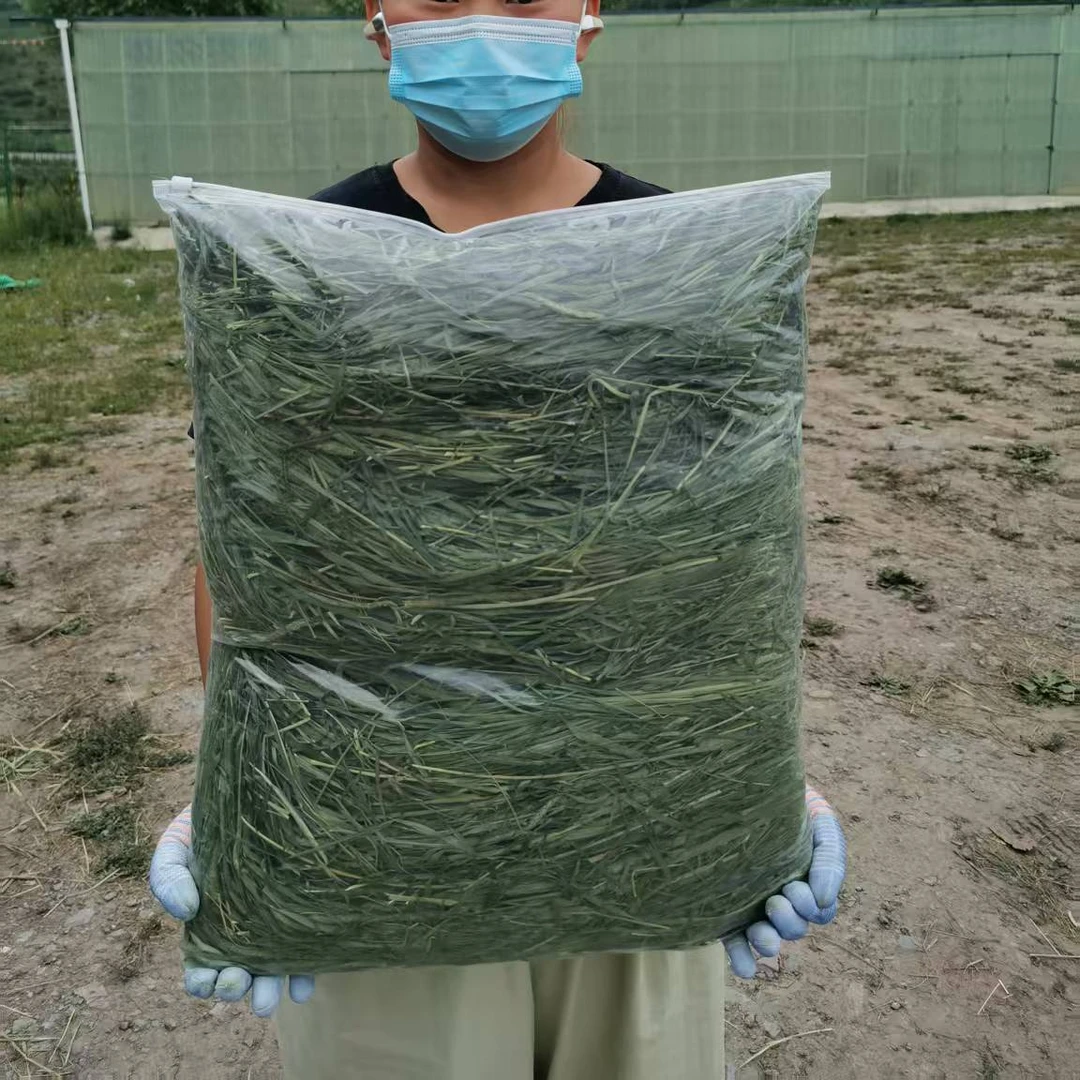 (直播间专享)甘肃岷草优特价烘干提摩西草段有穗三斤大包装烘干草