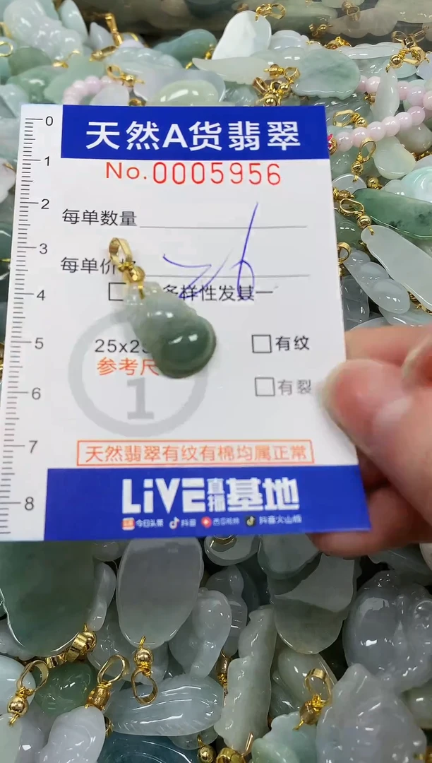 颈饰未镶嵌翡翠纯天然a货翡翠