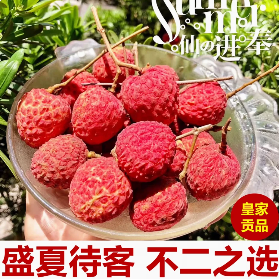 空运包邮增城仙进奉荔枝新鲜水果当季整箱现摘现发荔枝大果包邮