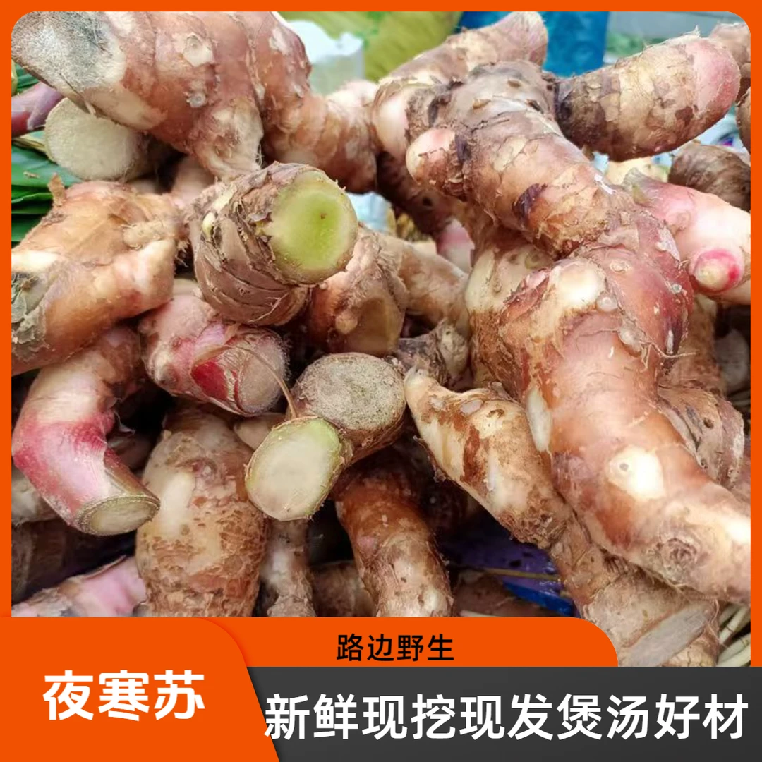 正宗贵州夜寒苏野生山姜煲汤新鲜去膻味调味牛羊肉火锅纯天然排骨