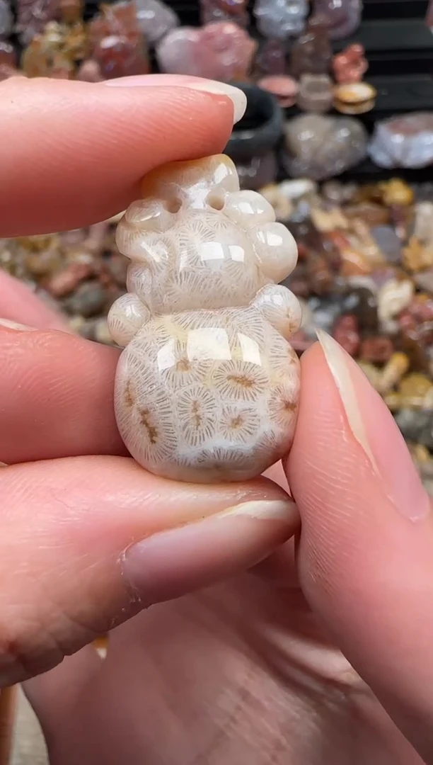 颈饰未镶嵌硅化珊瑚（珊瑚玉）247