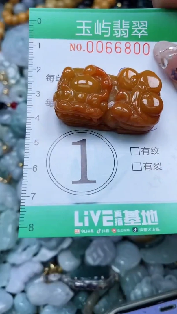 【闪购商品】翡翠颈饰未镶嵌闪购0066800