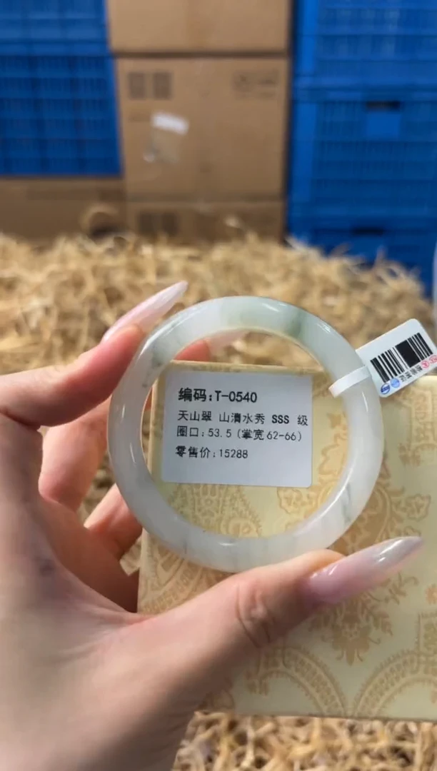 未镶嵌手镯石英质玉T-0540