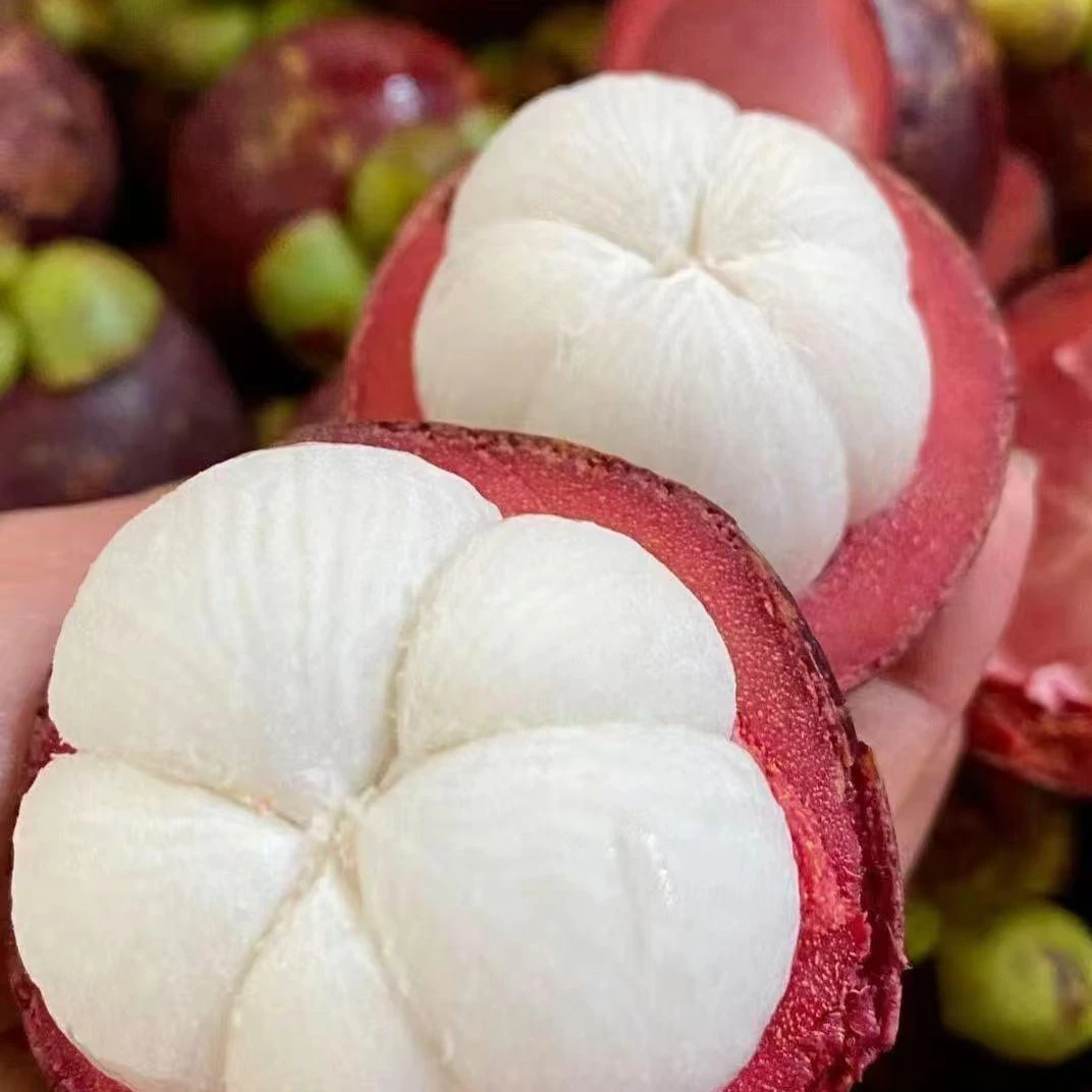 5A现货泰国新鲜进口山竹老树麻竹果肉雪白