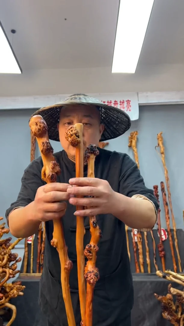 【闪购商品】黑果木其他黑果木612
