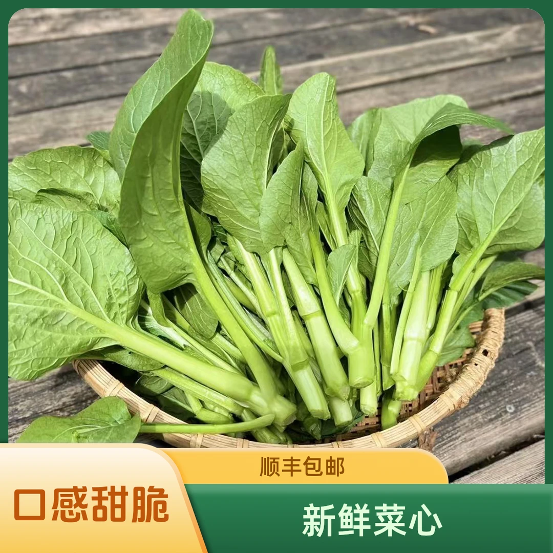 【顺丰包邮 一份两斤】新鲜菜心现割现发 脆甜口蔬菜小朋友超爱吃绿色蔬菜