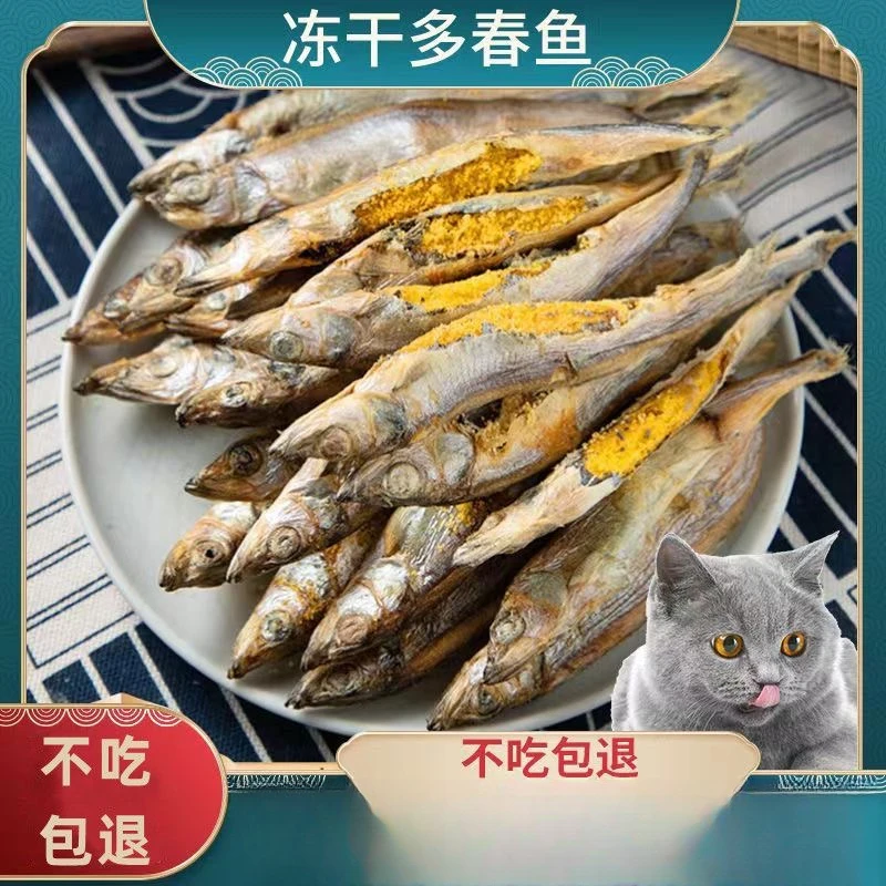 冻干多春鱼猫零食小鱼干猫咪冻干零食多春鱼冻干