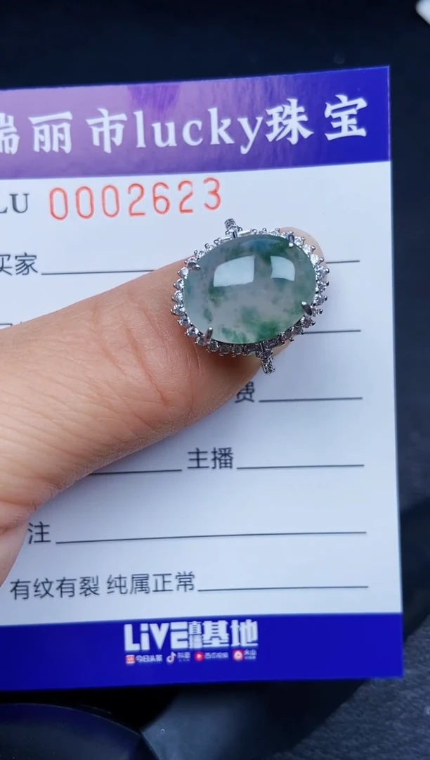翡翠银S925镶嵌颈饰2623