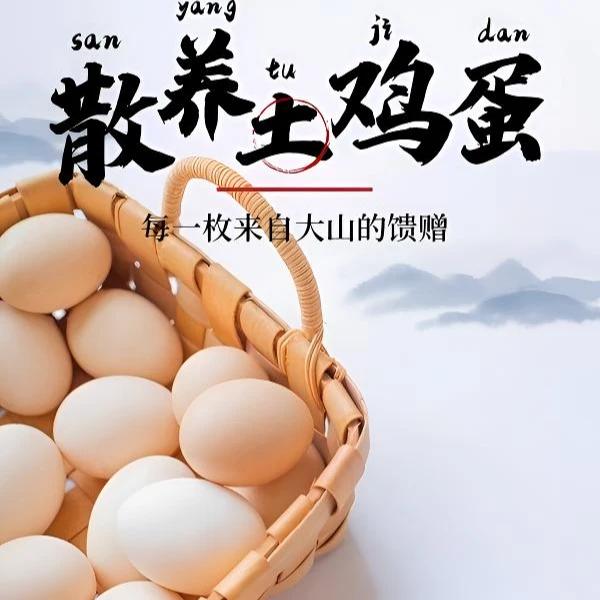 蛋岛主山林散养新鲜土鸡蛋营养健康到手一箱