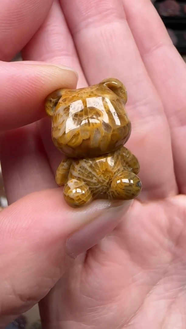 颈饰未镶嵌硅化珊瑚（珊瑚玉）625