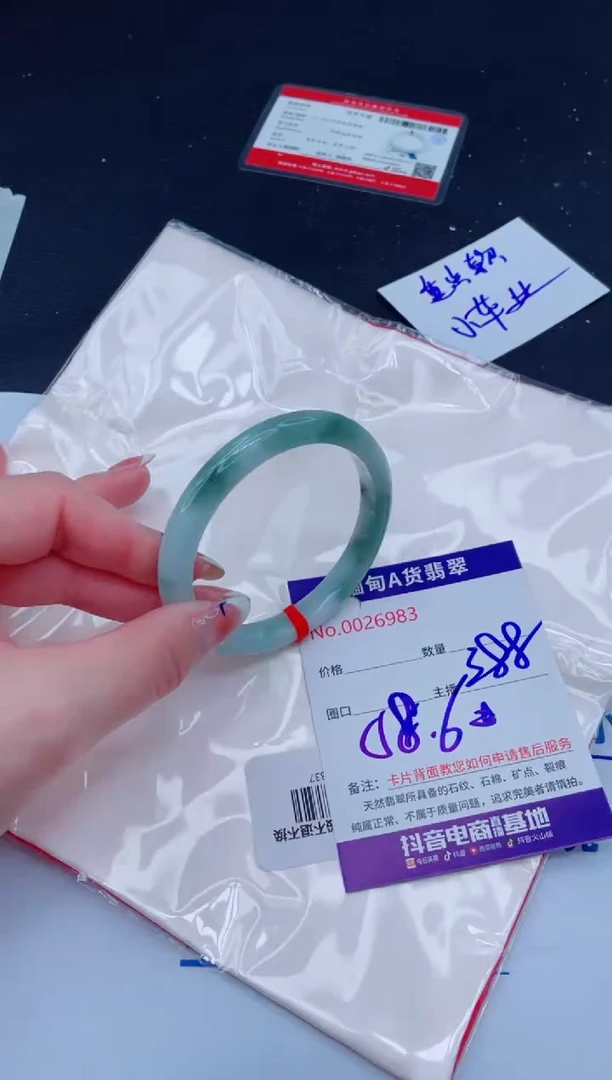 未镶嵌手镯翡翠1