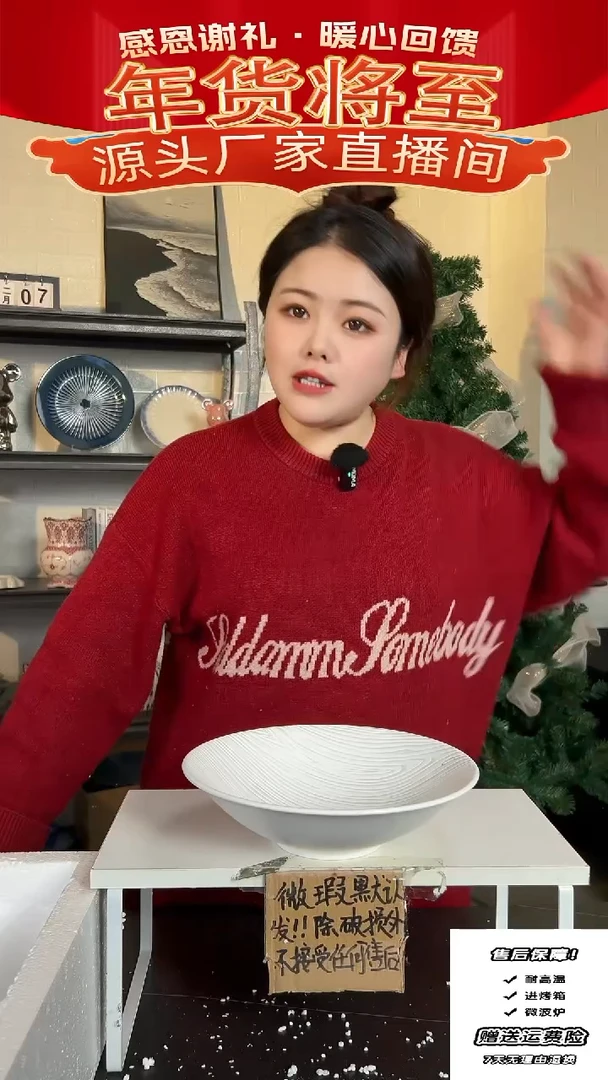 【闪购商品】瓷白线汤碗-25CM