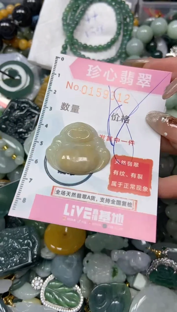 【闪购商品】翡翠颈饰未镶嵌闪购0159312