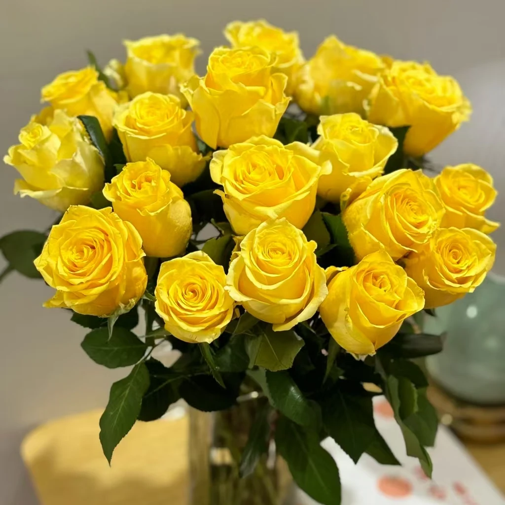 云南-鲜花【浪漫沙滩】鲜切花 花期久 好养