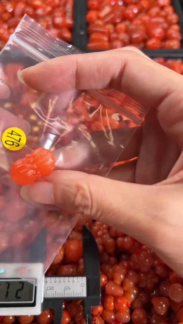 【闪购商品】南红玛瑙颈饰未镶嵌1