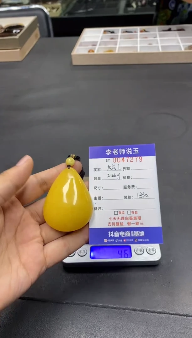 未镶嵌颈饰琥珀太*L/2016/一件