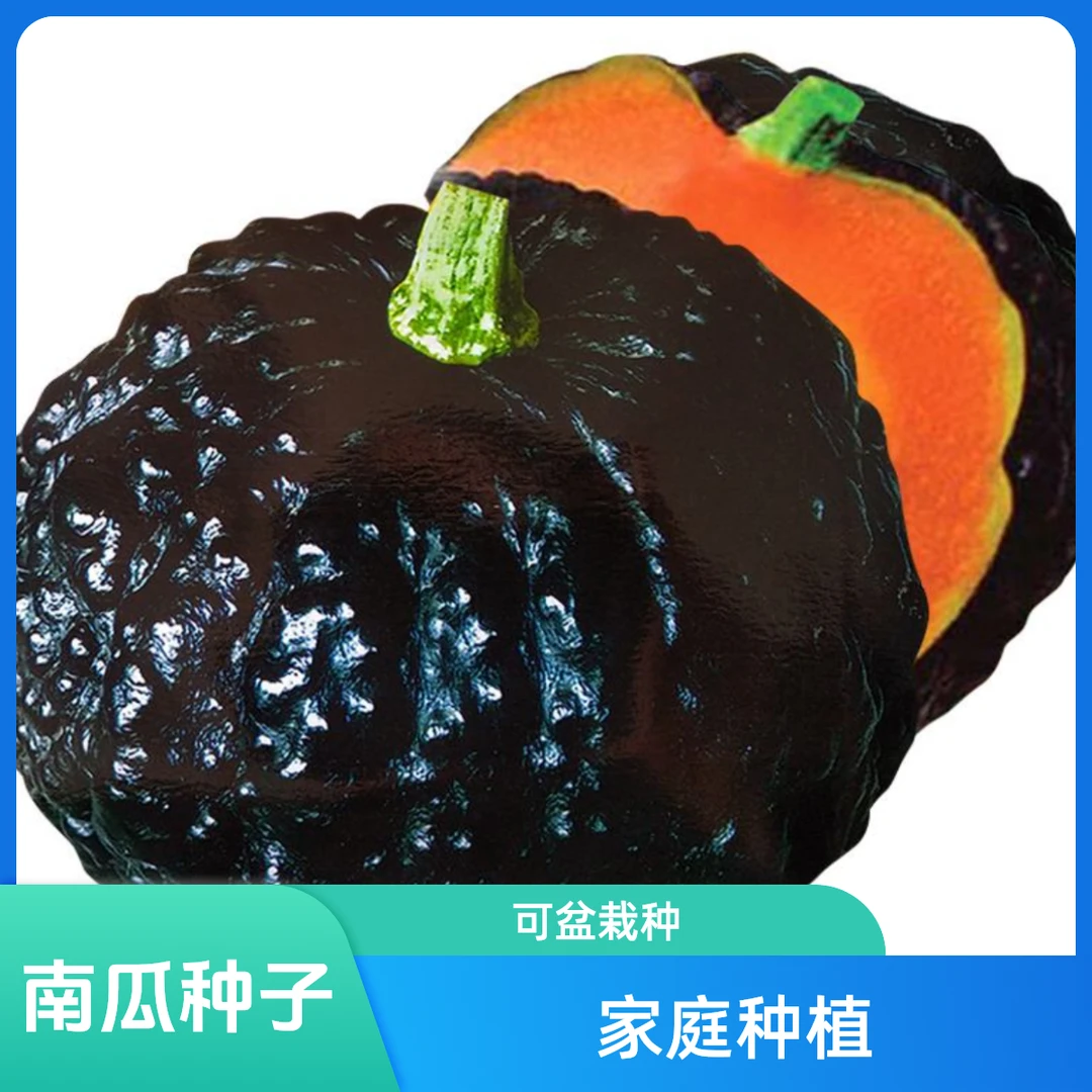 【拍2送1】小南瓜种子家庭种植可盆栽花生可地栽窝瓜蔬菜倭瓜小窝瓜