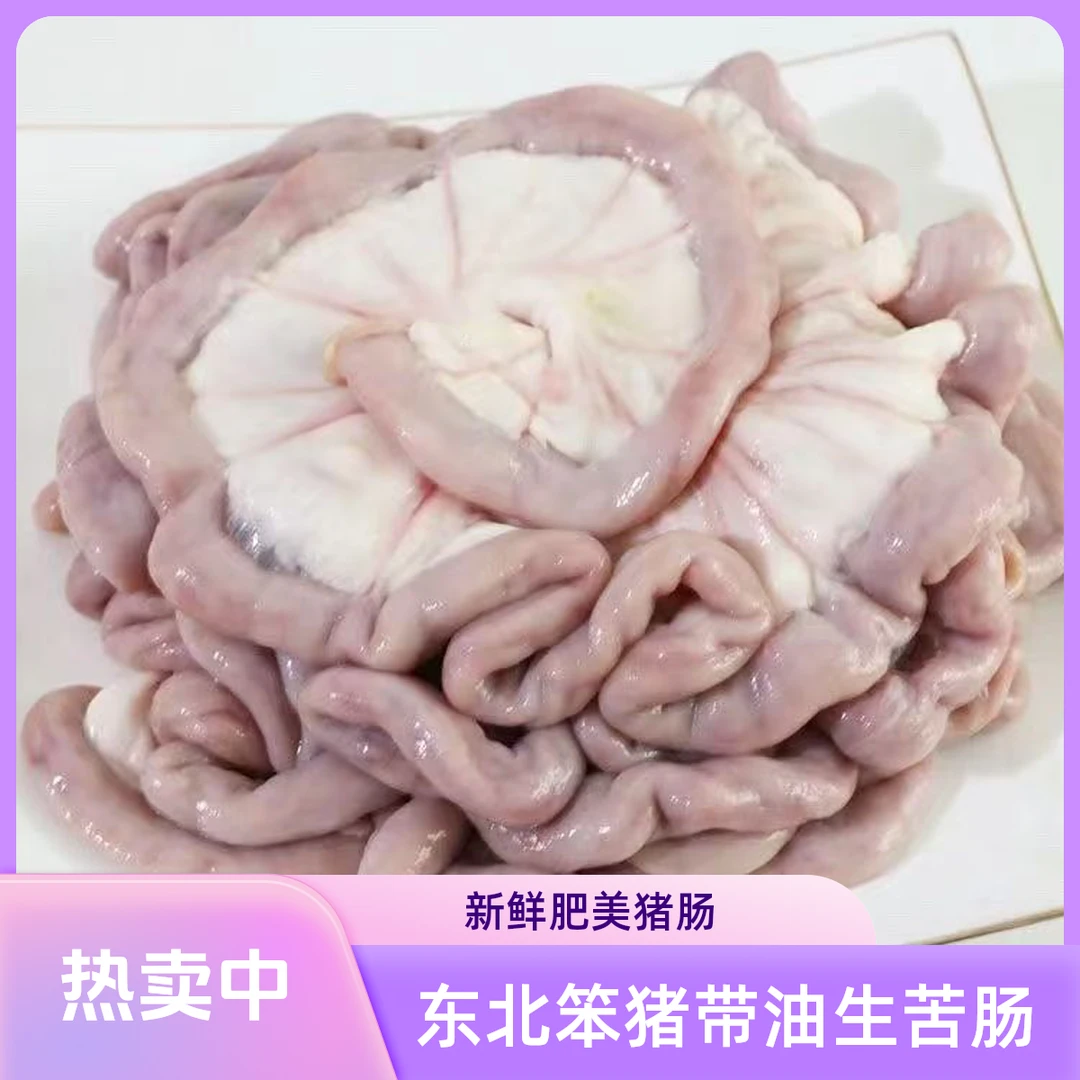 东北笨猪肠肚 所有肠肚