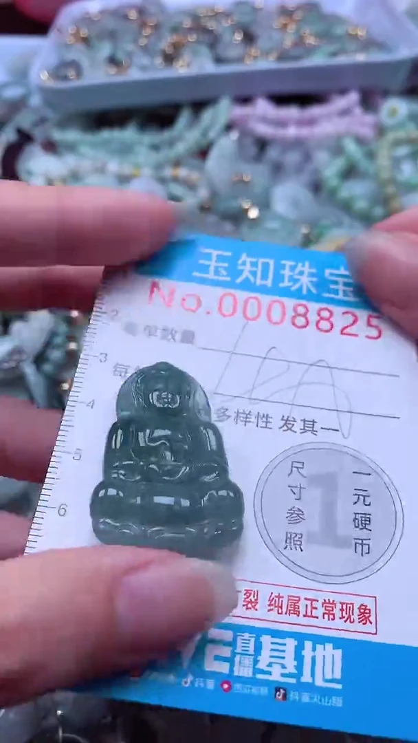 翡翠未镶嵌吊坠(不含链)8825