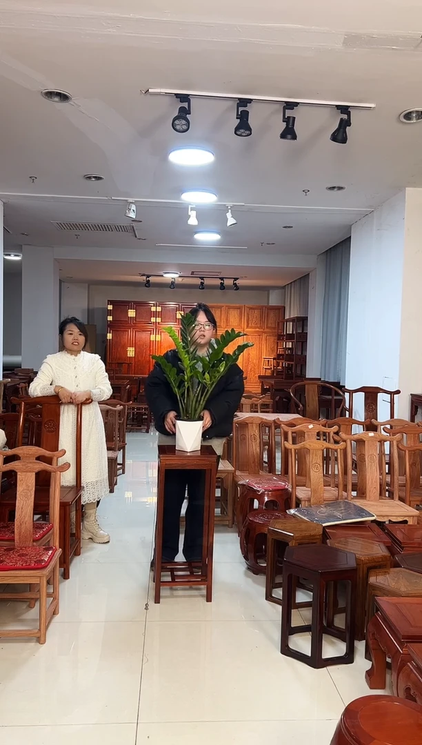 紫檀木类家具花架