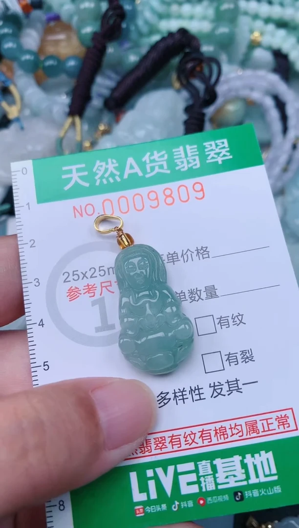 翡翠未镶嵌颈饰.0009809