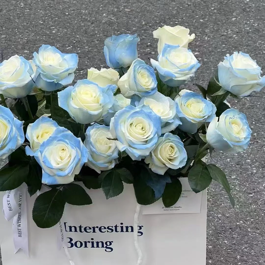 【花予专属】10枝 碎冰蓝单头玫瑰 云南鲜切花