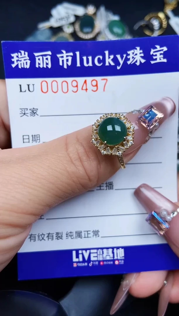 翡翠银S925镶嵌颈饰9497