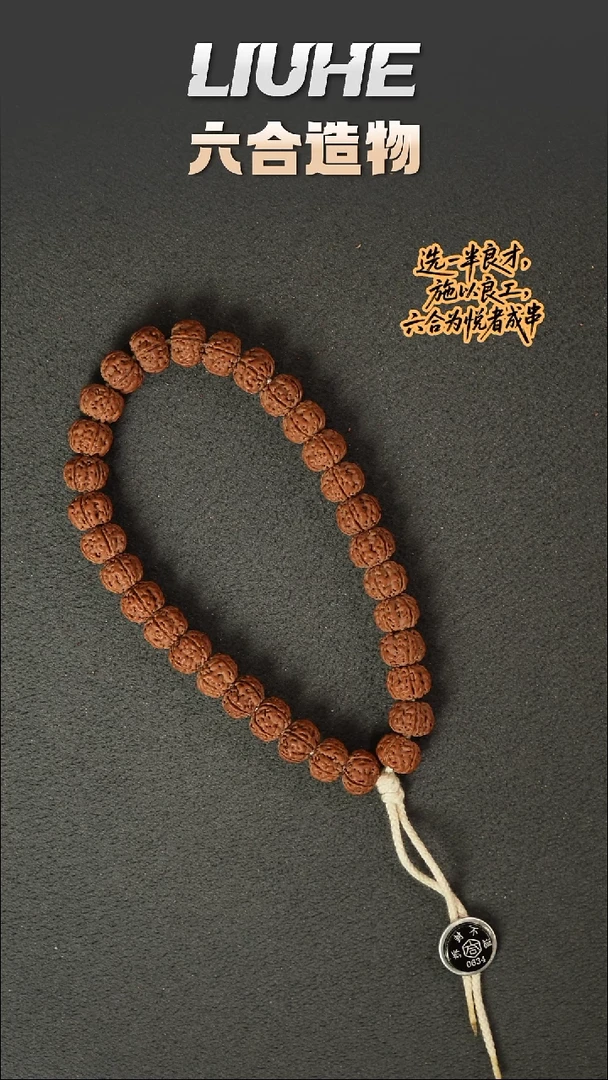 手串金刚菩提老树王手持0634