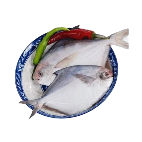 单冻银鲳鱼500g（冰衣10-15）