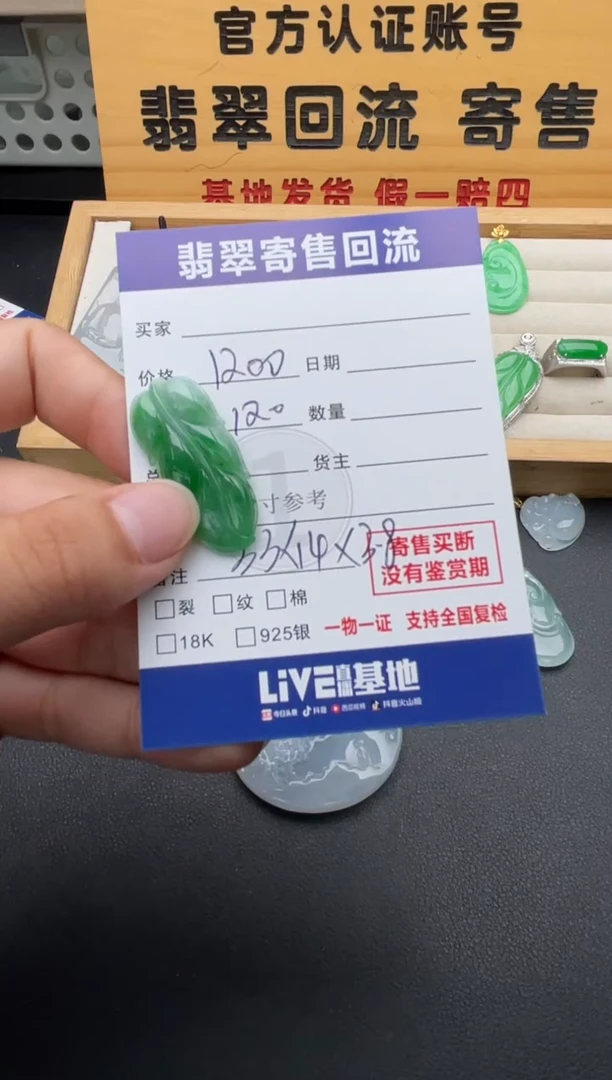 颈饰未镶嵌翡翠10147104