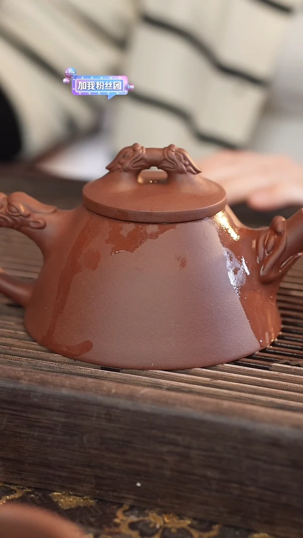 茶壶紫砂龙瓢 变色龙 半手工 350cc