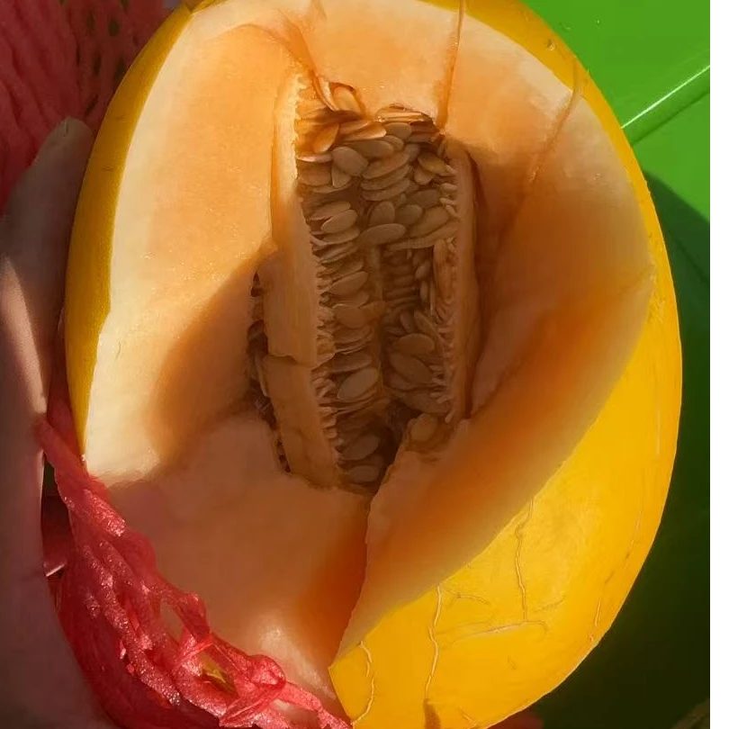 【原箱】[Y]北海哈密瓜 箱/3颗/13斤左右 仅限太原晋中吕梁忻州可拍