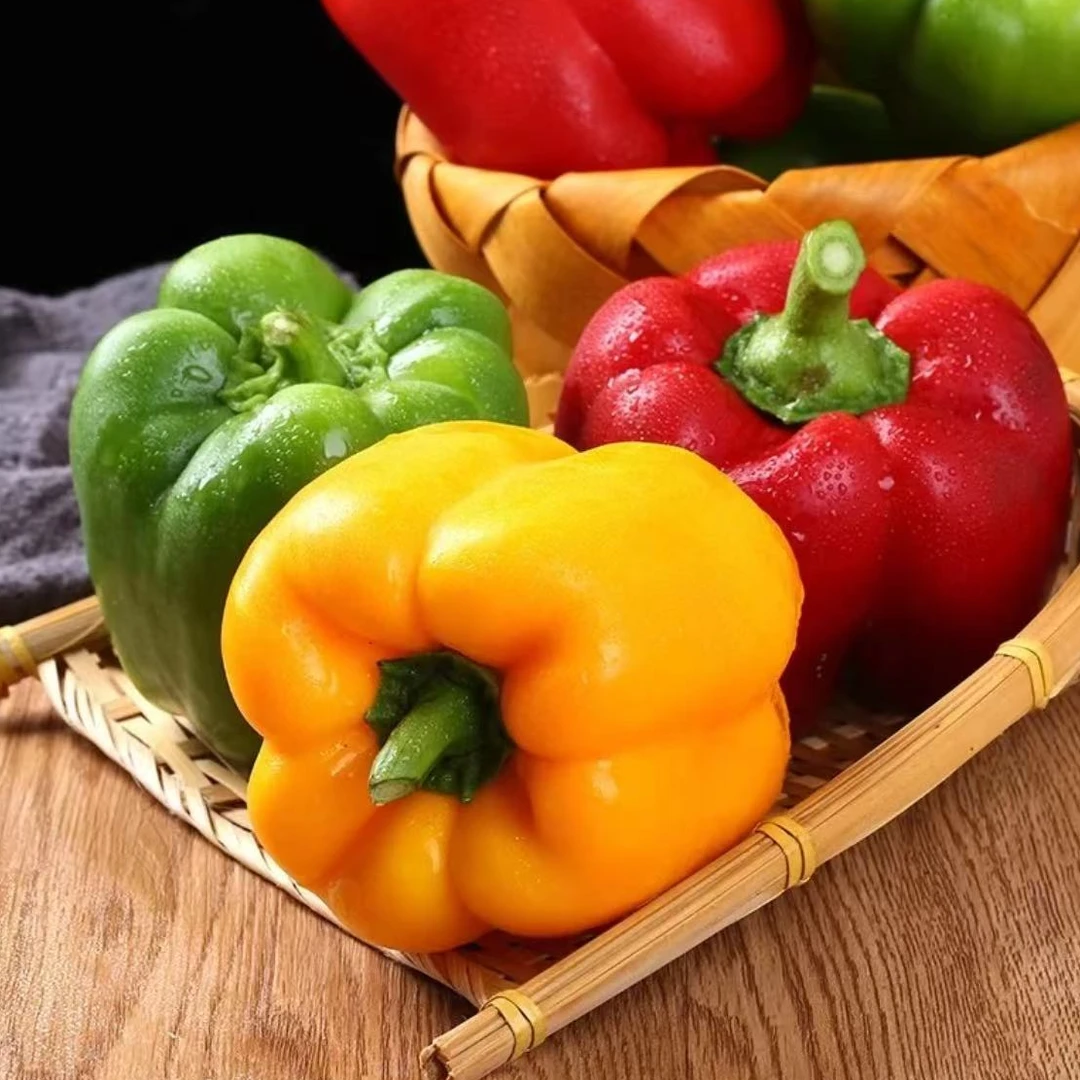 山东寿光 水果彩椒 可以生吃的水果彩椒 新鲜采摘产地直发