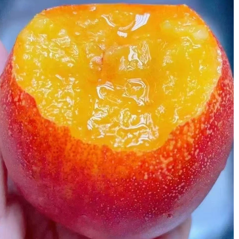 麻点红油桃  约4斤辽宁省