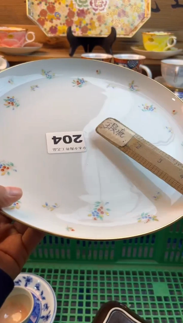 【闪购商品】瓷片瓷器          204