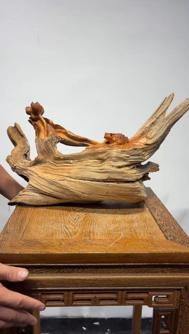 柏木（崖柏）崖柏崖柏