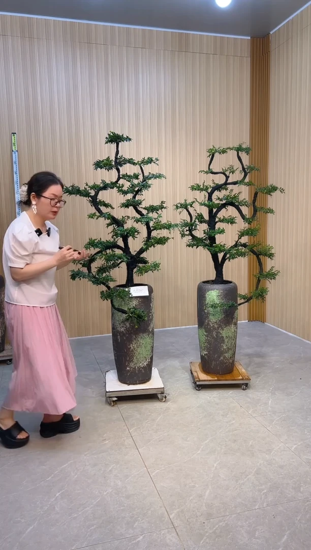 无花朵丁*芬小叶紫檀小叶紫檀