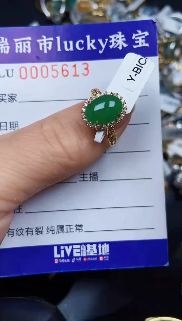 翡翠银S925镶嵌颈饰5613