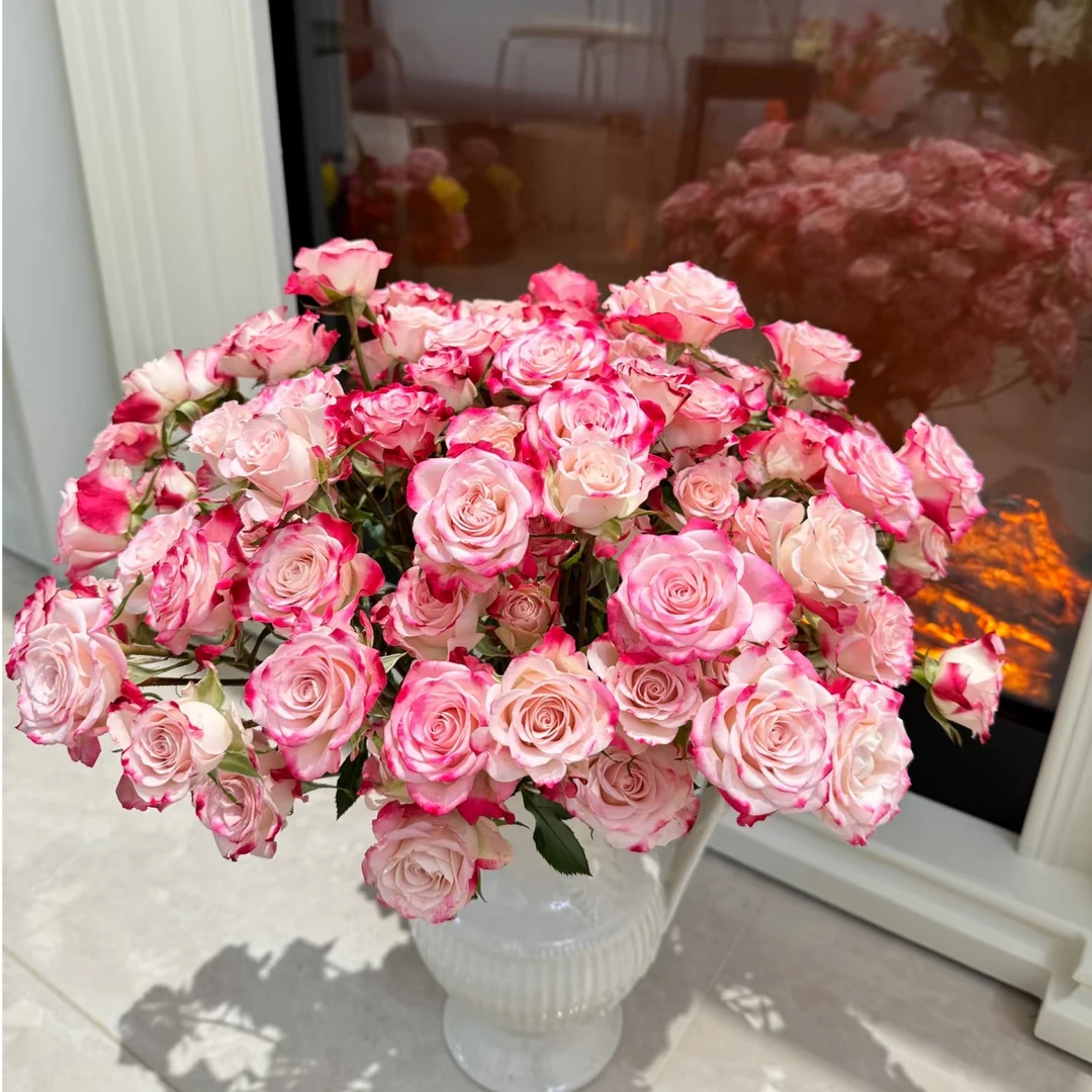 【折射泡泡】多头玫瑰 云南鲜花 发货后不支持退款