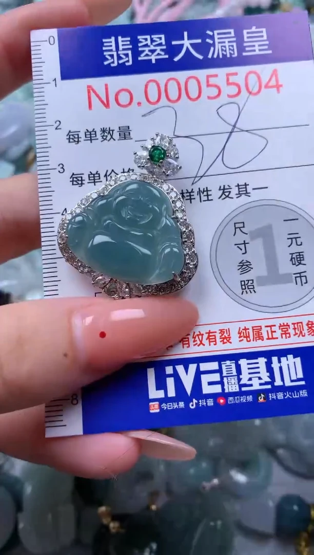 翡翠未镶嵌吊坠(不含链)5504