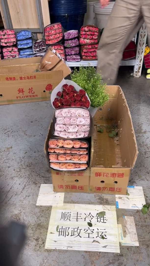 卡布3扎+曼塔1扎+巧克力2扎+绿林草