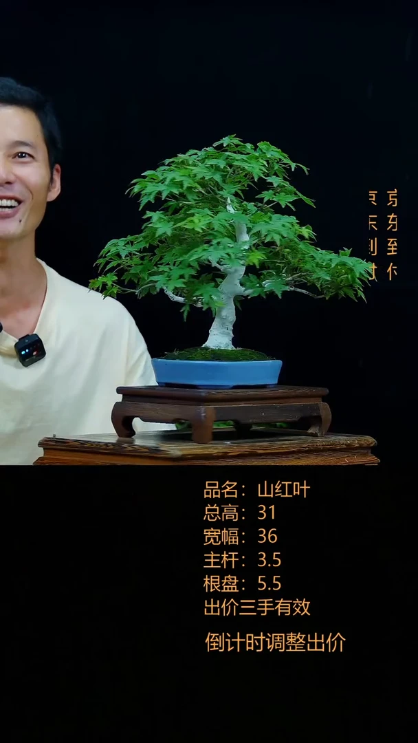 无花朵尼*丁0000000