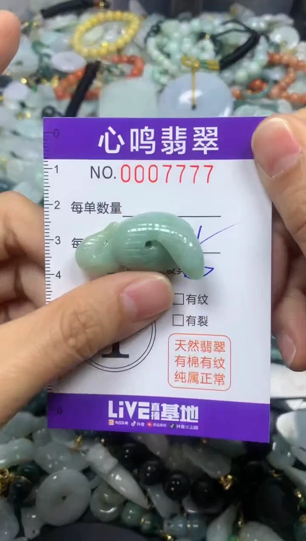 【闪购商品】翡翠颈饰未镶嵌闪购007777