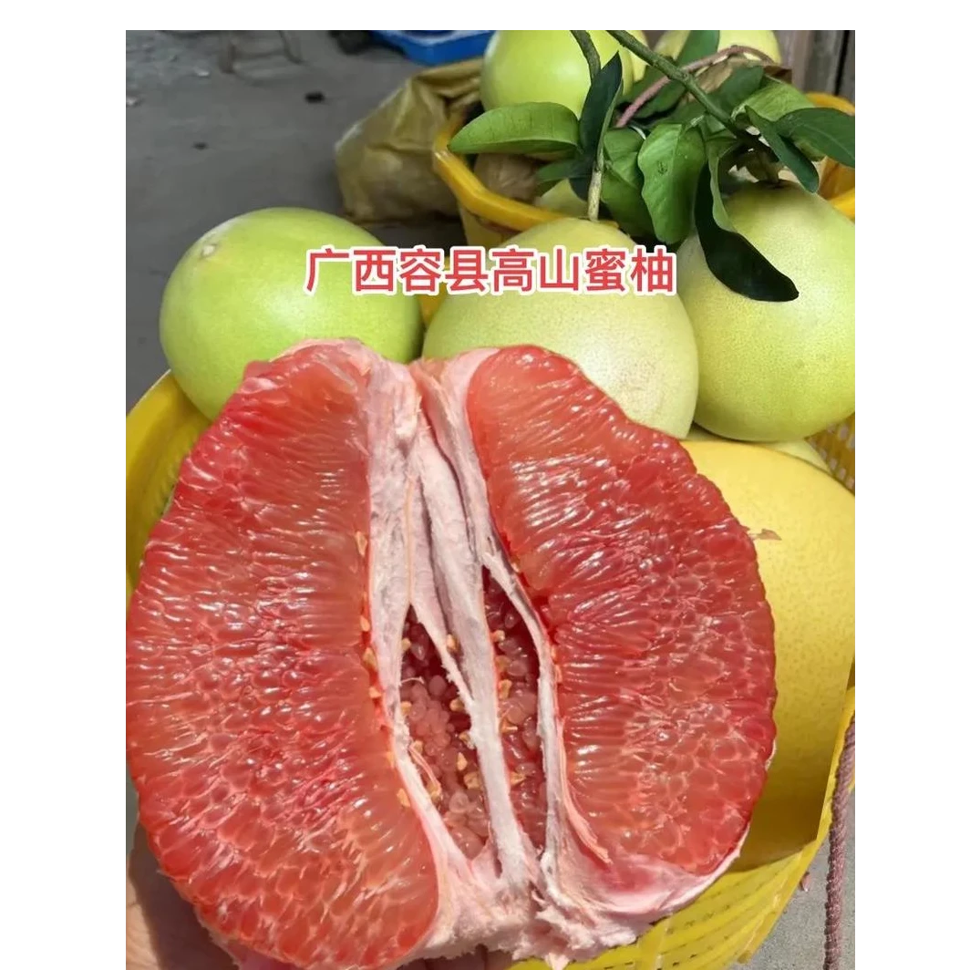 玉林同城小时达玉林容县蜜柚5斤起售