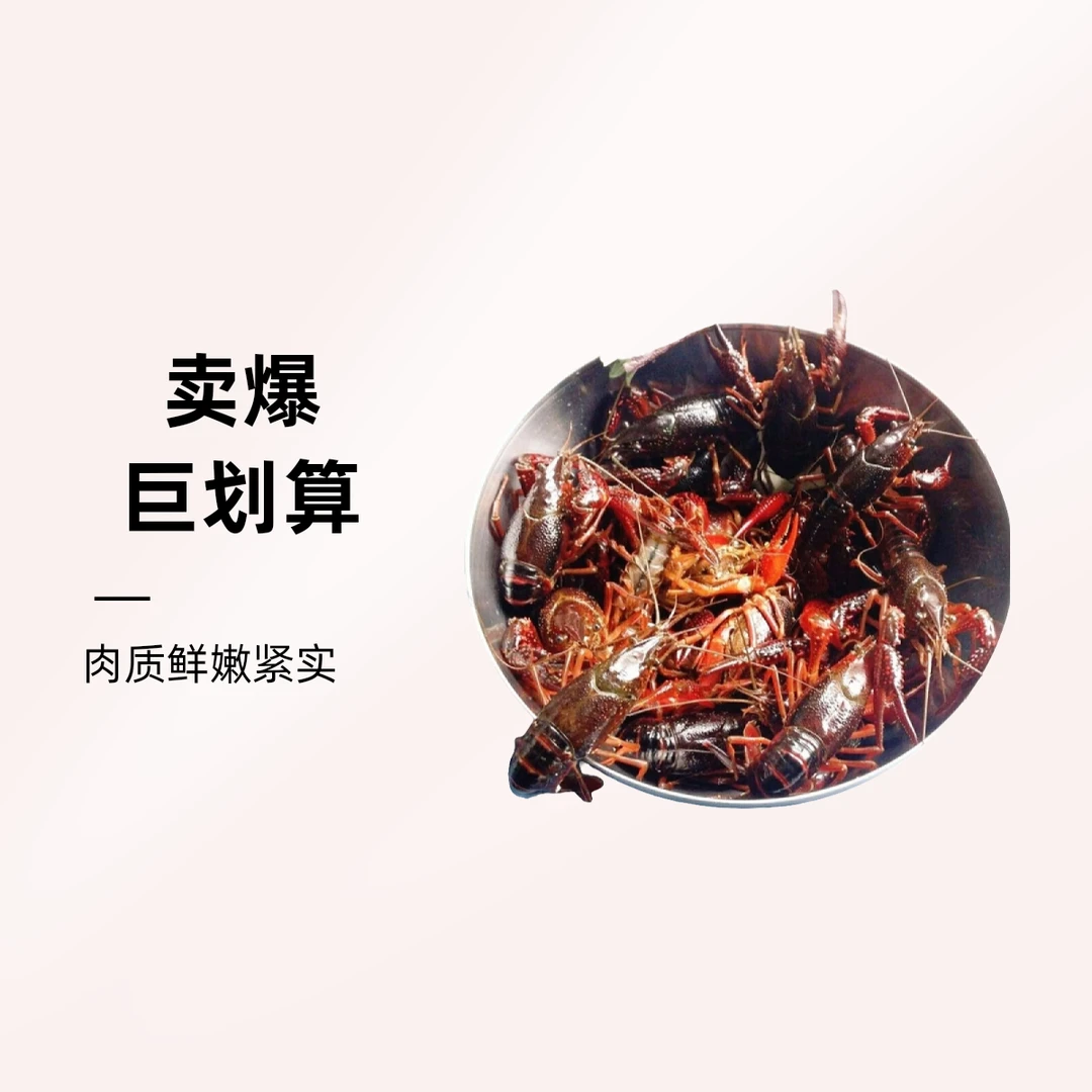 中号小龙虾1-10斤装