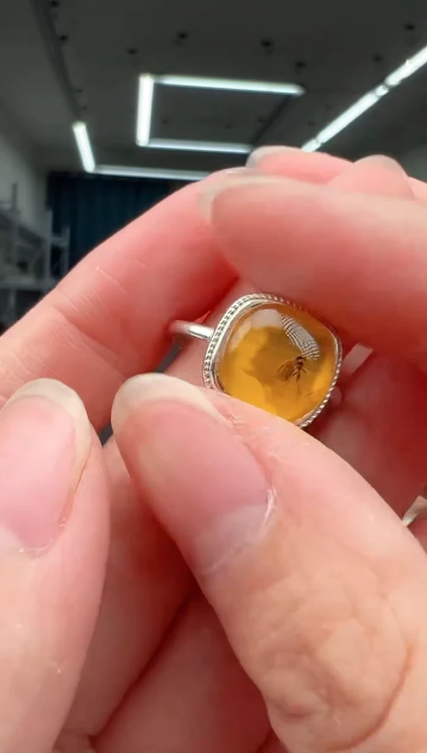 未镶嵌琥珀戒指戒指