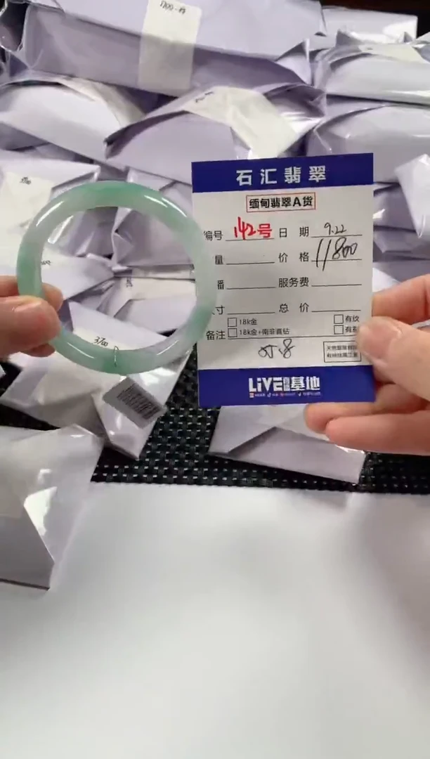 颈饰未镶嵌翡翠1